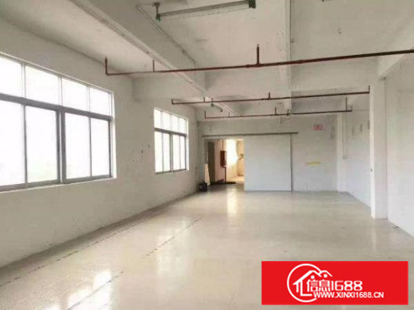 清溪清厦2500平方独门独院厂房出租