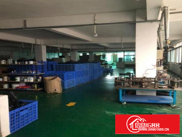 大田洋工业园大量小面积红本厂房仓库出租精装修