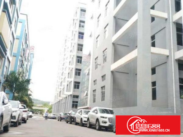 东莞1000平厂房出租配套齐全专业管理消防合格可办环评