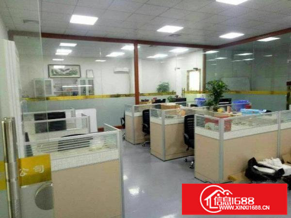 出租坪山新区龙坪路标准1楼900平方！环境好地段旺