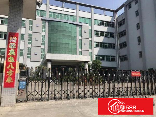 塘厦大坪独院2楼800平方！电子车间采光好干净整洁