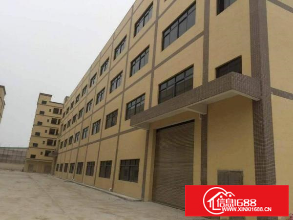 惠州市博罗县罗阳镇新出一楼标准厂房800方