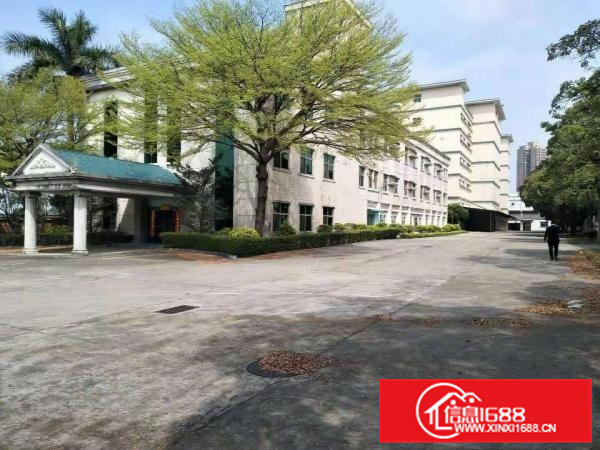 大沙新出1000平独栋独院带环评带装修独院厂房出租