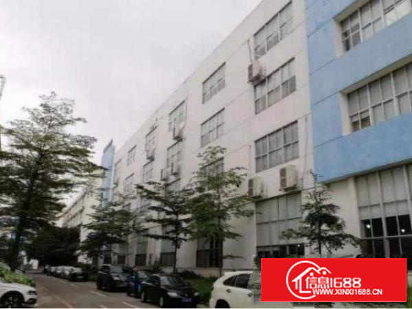 观澜君子布一楼380平方厂房出租，带消防喷淋，适合各种行业