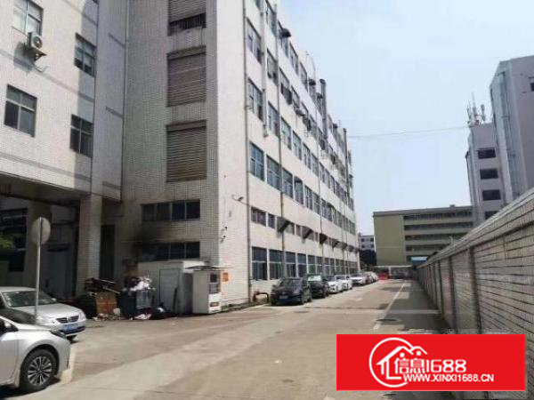 沙井步涌晶辉科技园2550平米无公摊村委精装修厂房出租