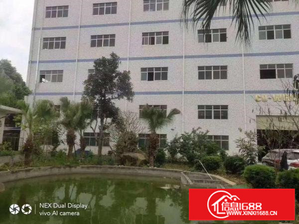 带注塑环评行车全新地坪漆清溪一二楼各1800平厂房出租