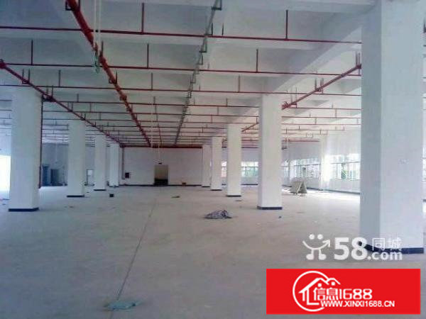 大浪嘉安达科技园新出一楼二楼每层2300平方招租