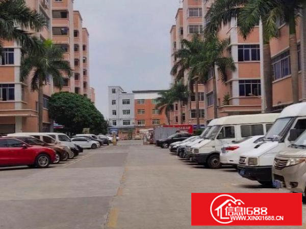 丹竹头500至1050平方厂房出租，可分租