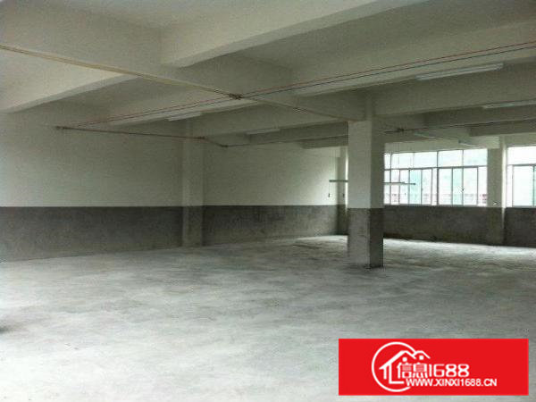 桥头新出标准一楼分租800平方，带办公室厂房出租