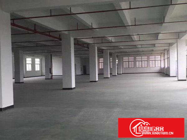 高埗1300平方楼房1楼层出租周边有娱乐场所，人流