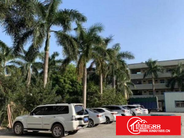 出租谢岗燕东工业区鼎嘉工业园厂房