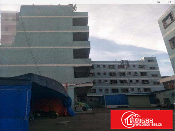 陈村原房东厂房1000平米，无公摊