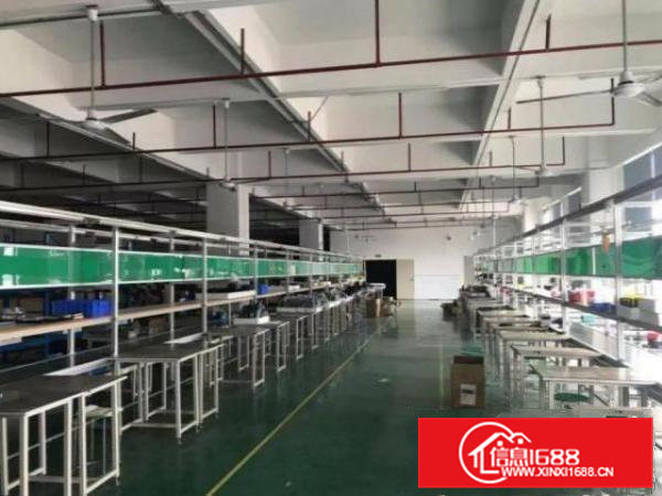 清溪松岗村1500平现成办公室厂房出租原房东，可