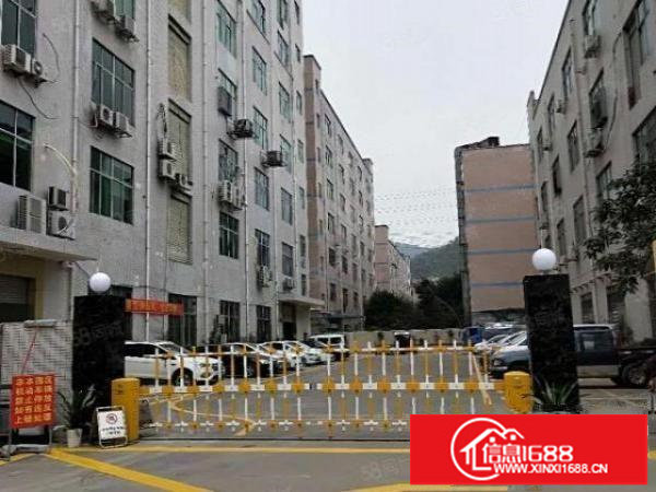 龙华大浪布龙路旁21元带装修厂房出租.可分小面积