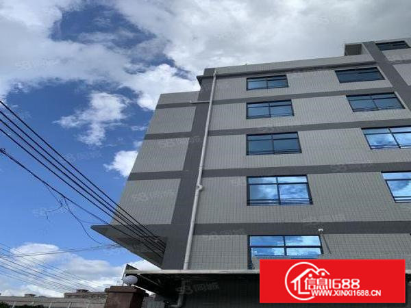 松湖全新精装科创园年前可用500平米起分租