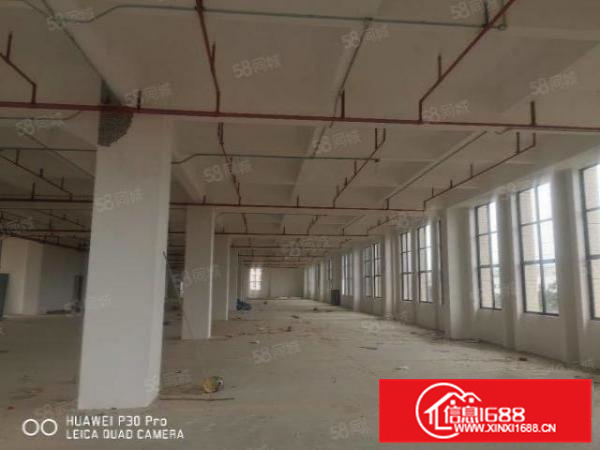 三水云东海标准厂房全新红本双证18000平方可分租丙二类消防