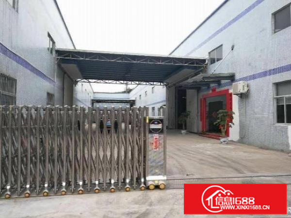 惠阳新圩独门独院钢构厂房1900平带行车滴水10