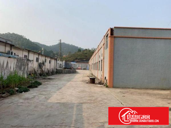 龙岗大道旁边独院单层6栋20000平米厂房仓库，可包租/分租