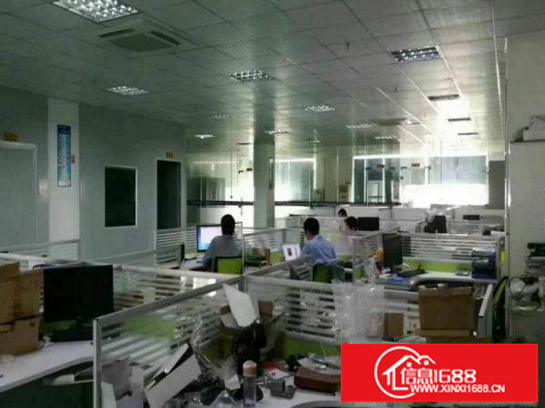 （原房东）横岗主干道附近新出独门独院7500平米可分租