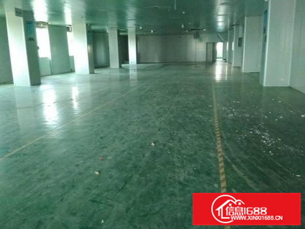 仲恺标准厂房500平方