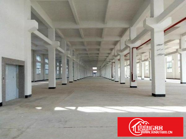 容桂全新标准厂房、带喷淋、可过环评、形象好、好分租