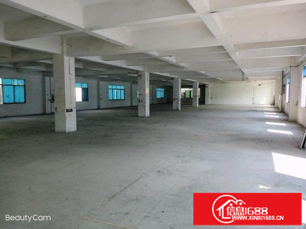 独门独院靠大路边厂房出租