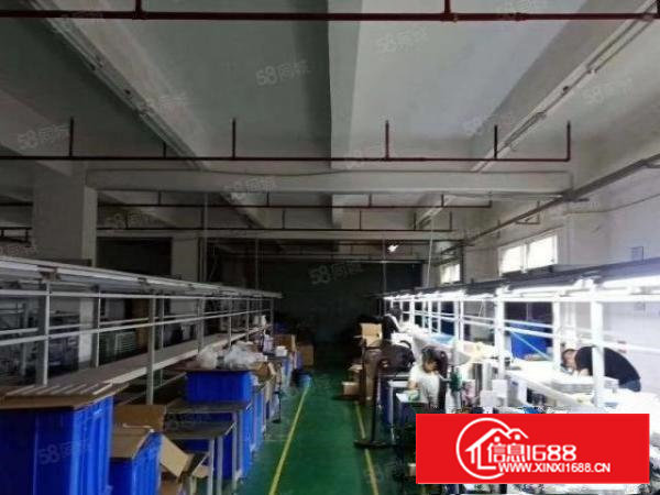 石岩三祝里原房东厂房仓库办公室出租三楼2000平，带豪华精装