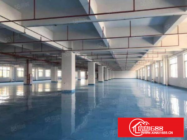 石排镇原房东九层新独院钢构6000平米