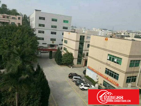 平湖富民有新出楼上带装修1280平米厂房招租