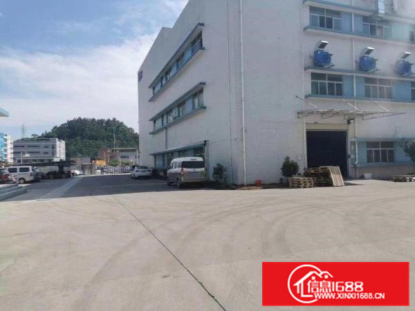 一楼6米，厂房仓库5000平方