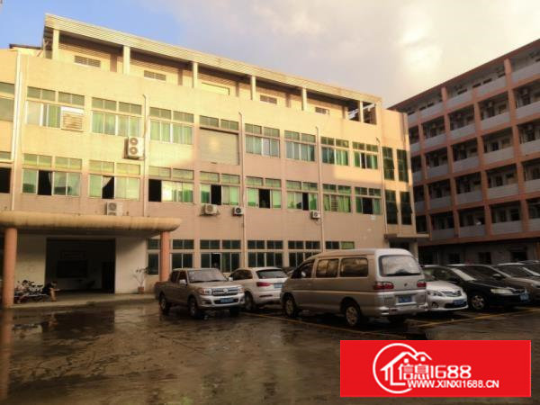 塘厦振兴围原房东出租，1楼1300平5米高带装修水电到位