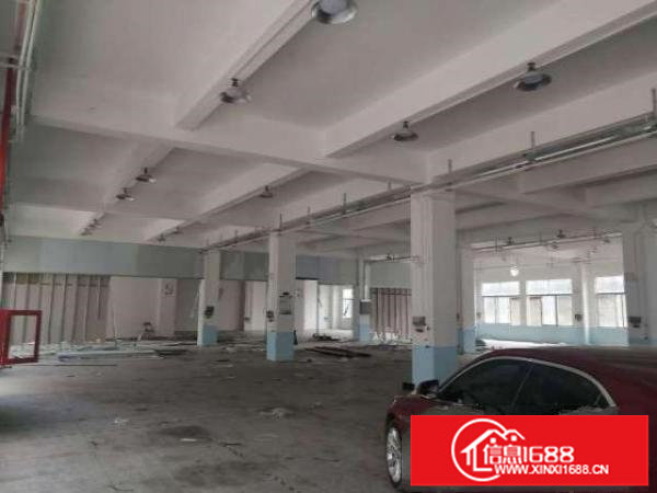 平湖独门独院厂房出租27一个平方带宿舍有货梯