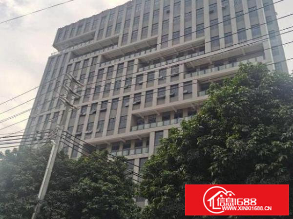 大朗新马莲全新标准工业高新厂房层高8米工业用地可办环评可分租