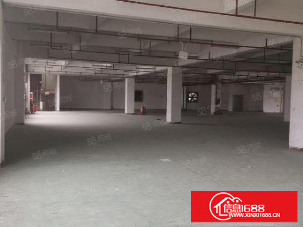 乌沙新出独门独院厂房招租可分租