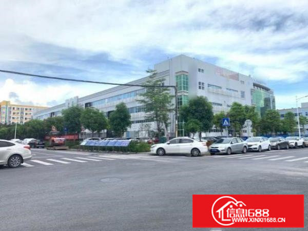 原房东独门独院三层16000平，空地超大