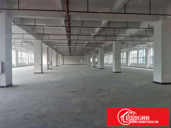 坂田五和地铁口1000平方一楼厂房出租可分200平起分。