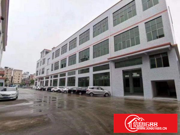 袁屋围标准厂房一楼1200现成水电装修，可以分租