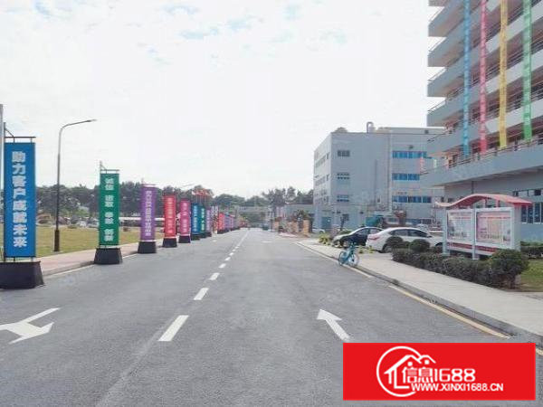 红本厂房，国有工业用地，配电大空地大标准厂房一楼8米高