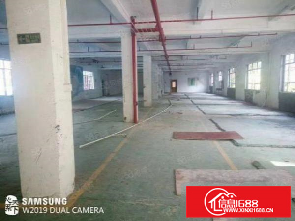 龙江厂房出租（新出厂房）