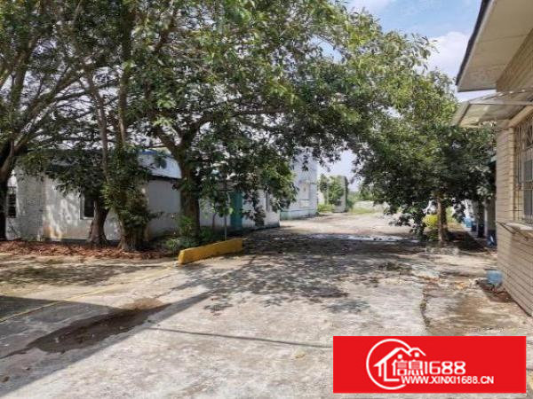 深圳20块1楼厂房！坪山碧岭新空出6米高1楼500平起分租