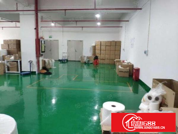 龙华福龙路旁960平标准厂房。