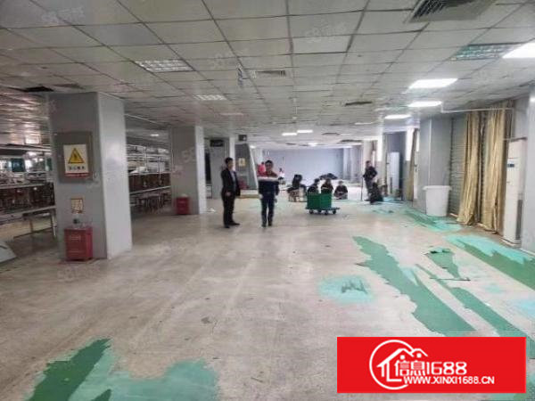 龙华大浪商业中心新出楼上300平精装修厂房，适合办公贸易行业