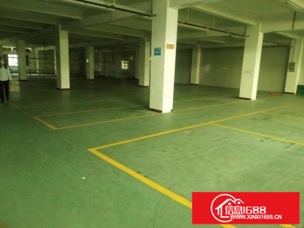 原房东独门独院空地大分租厂房