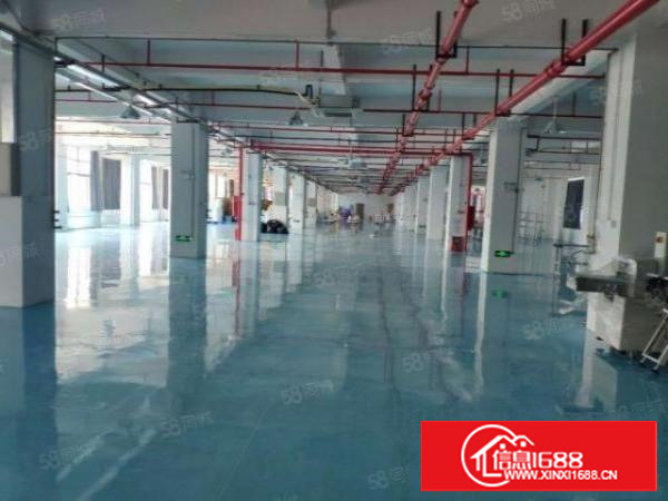 寮步新空出3000平方全新带装修厂房出租仓库出租
