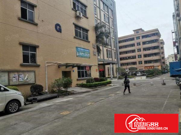 凤岗金凤凰工业园精装修一楼1400平方100起分租