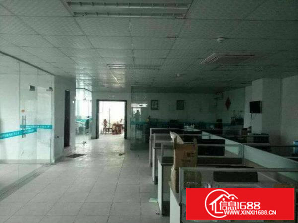 坪山碧岭金碧路480平方带装修厂房16元招租