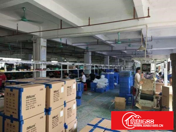 石排镇工业区新空出原房东一楼1900平方厂房出租，