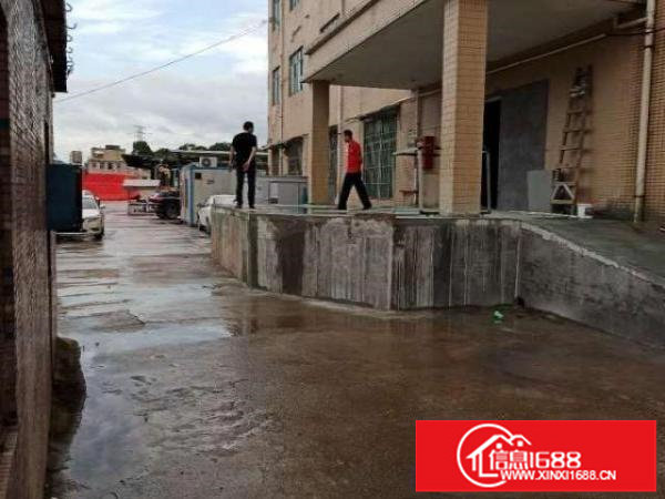 平湖白泥坑海吉星附近冷库，蔬果配送厂房出租500平方起租