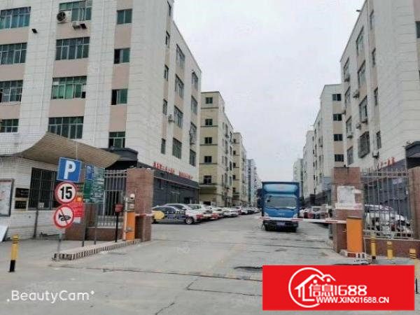 和平新出原房东，精装修不要转让费600平，超长免租期