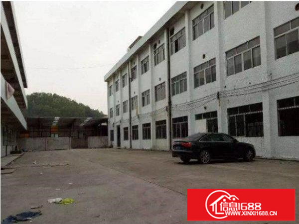 平湖清平高速一楼600平标准厂房交通便利空地大